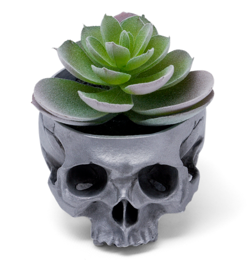 BOFP-285/SKULL POT